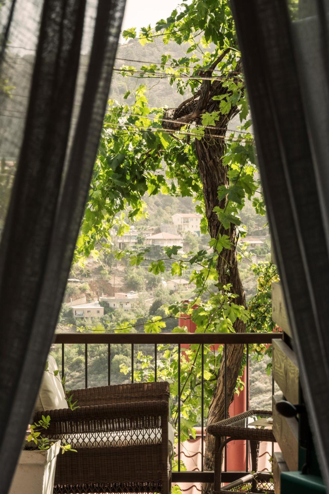 קאלופאנאיוטיס Anastou'S Traditional House מראה חיצוני תמונה